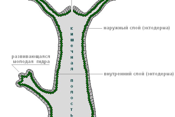 Активная ссылка кракен